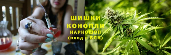 бошки Дмитров