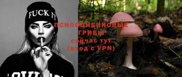 ГАЛЛЮЦИНОГЕННЫЕ ГРИБЫ Дмитриев