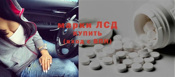 ГАЛЛЮЦИНОГЕННЫЕ ГРИБЫ Дмитриев
