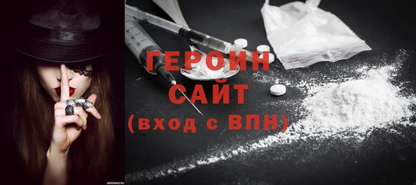 ГАЛЛЮЦИНОГЕННЫЕ ГРИБЫ Дмитриев