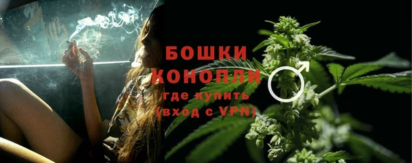 бошки Дмитров