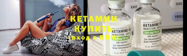 ГАЛЛЮЦИНОГЕННЫЕ ГРИБЫ Дмитриев
