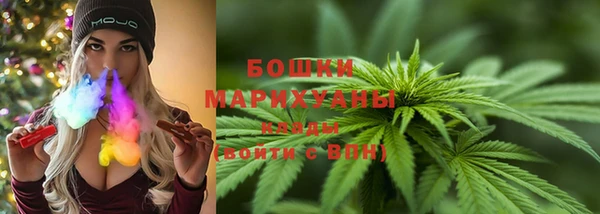 дмт Дмитровск