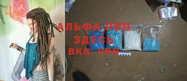 ГАЛЛЮЦИНОГЕННЫЕ ГРИБЫ Дмитриев