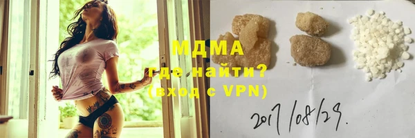 ГАЛЛЮЦИНОГЕННЫЕ ГРИБЫ Дмитриев