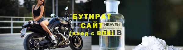 ГАЛЛЮЦИНОГЕННЫЕ ГРИБЫ Дмитриев