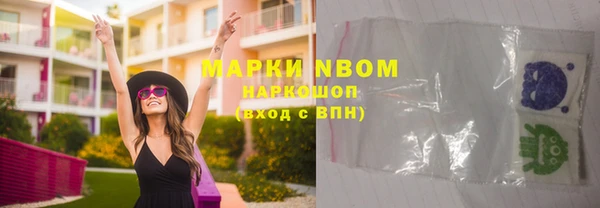 ГАЛЛЮЦИНОГЕННЫЕ ГРИБЫ Дмитриев