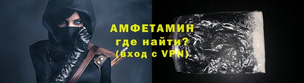 ГАЛЛЮЦИНОГЕННЫЕ ГРИБЫ Дмитриев