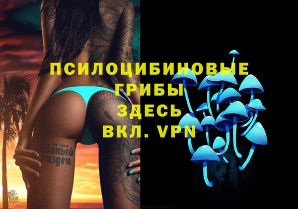 дмт Дмитровск
