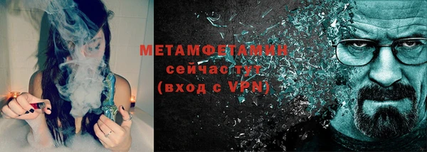 ГАЛЛЮЦИНОГЕННЫЕ ГРИБЫ Дмитриев