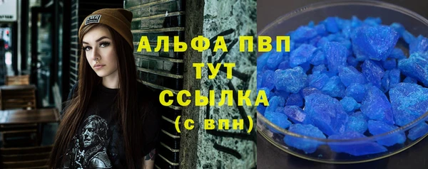 дмт Дмитровск