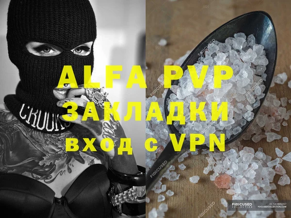 ГАЛЛЮЦИНОГЕННЫЕ ГРИБЫ Дмитриев