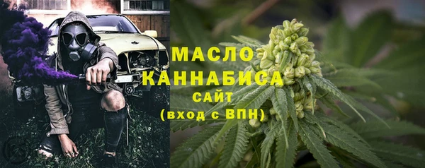дмт Дмитровск