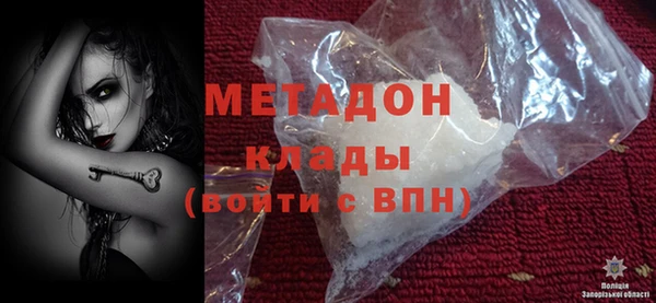 ГАЛЛЮЦИНОГЕННЫЕ ГРИБЫ Дмитриев