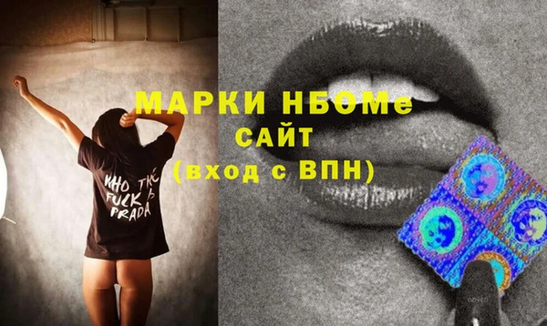 ГАЛЛЮЦИНОГЕННЫЕ ГРИБЫ Дмитриев