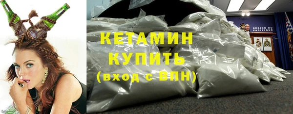 ГАЛЛЮЦИНОГЕННЫЕ ГРИБЫ Дмитриев