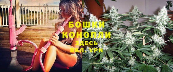 дмт Дмитровск